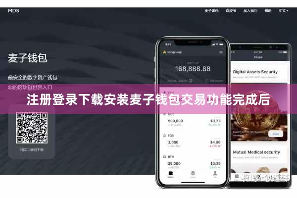 注册登录下载安装麦子钱包交易功能完成后