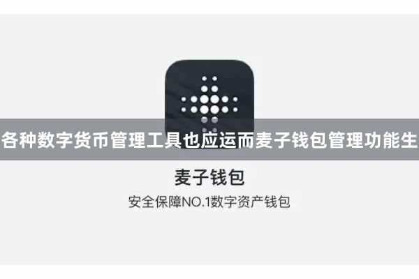 各种数字货币管理工具也应运而麦子钱包管理功能生