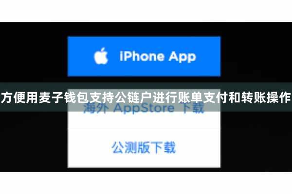方便用麦子钱包支持公链户进行账单支付和转账操作