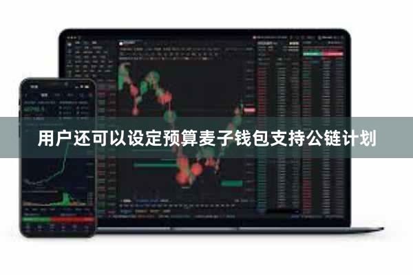 用户还可以设定预算麦子钱包支持公链计划