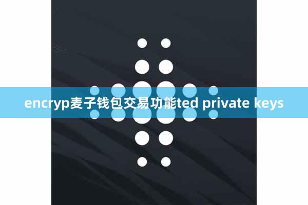 encryp麦子钱包交易功能ted private keys