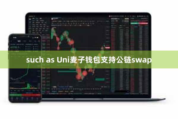 such as Uni麦子钱包支持公链swap
