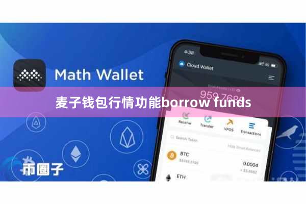 麦子钱包行情功能borrow funds