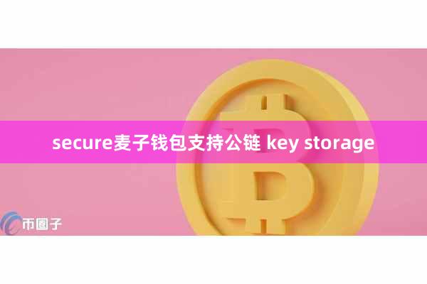 secure麦子钱包支持公链 key storage