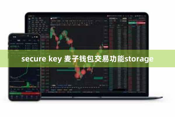 secure key 麦子钱包交易功能storage