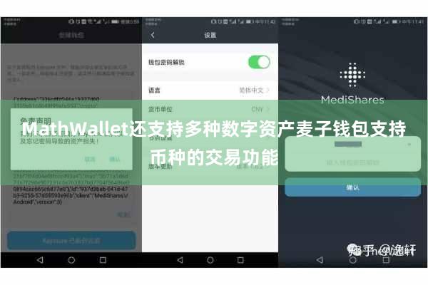 MathWallet还支持多种数字资产麦子钱包支持币种的交易功能