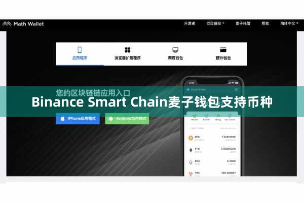 Binance Smart Chain麦子钱包支持币种
