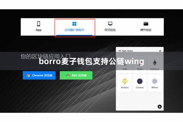borro麦子钱包支持公链wing