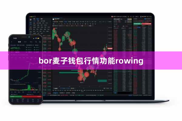 bor麦子钱包行情功能rowing