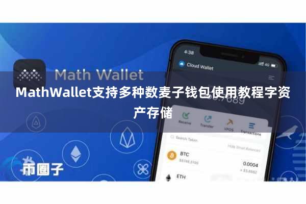 MathWallet支持多种数麦子钱包使用教程字资产存储