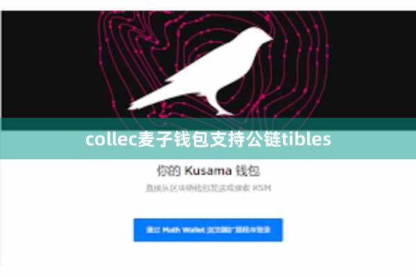 collec麦子钱包支持公链tibles