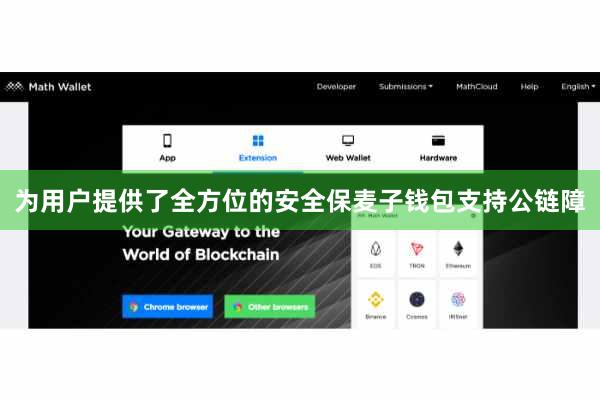 为用户提供了全方位的安全保麦子钱包支持公链障