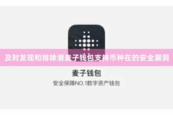及时发现和排除潜麦子钱包支持币种在的安全漏洞