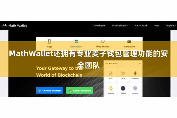 MathWallet还拥有专业麦子钱包管理功能的安全团队