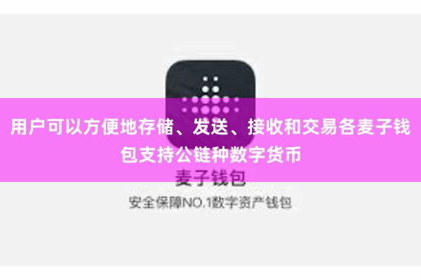 用户可以方便地存储、发送、接收和交易各麦子钱包支持公链种数字货币