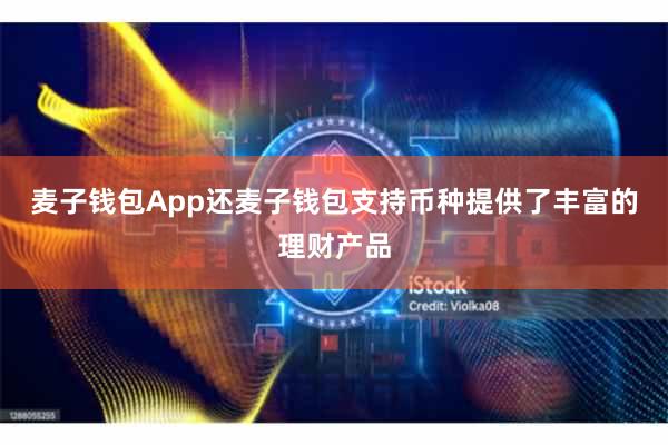 麦子钱包App还麦子钱包支持币种提供了丰富的理财产品