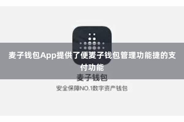 麦子钱包App提供了便麦子钱包管理功能捷的支付功能