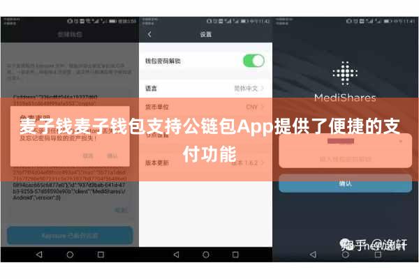 麦子钱麦子钱包支持公链包App提供了便捷的支付功能
