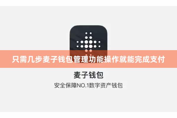 只需几步麦子钱包管理功能操作就能完成支付
