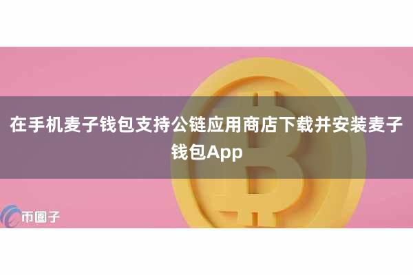 在手机麦子钱包支持公链应用商店下载并安装麦子钱包App