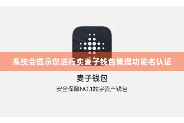 系统会提示您进行实麦子钱包管理功能名认证