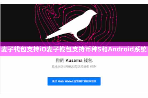 麦子钱包支持iO麦子钱包支持币种S和Android系统