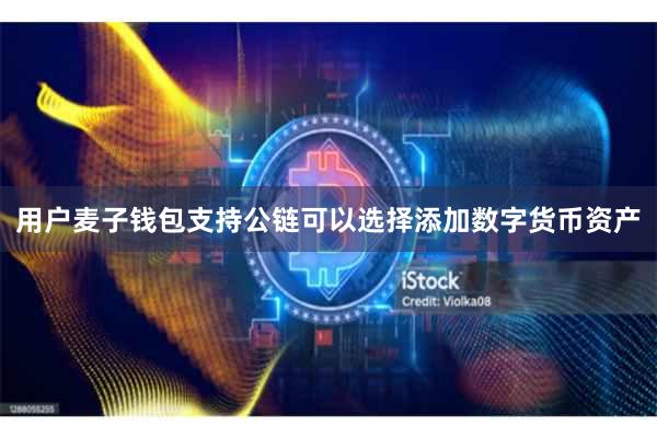 用户麦子钱包支持公链可以选择添加数字货币资产