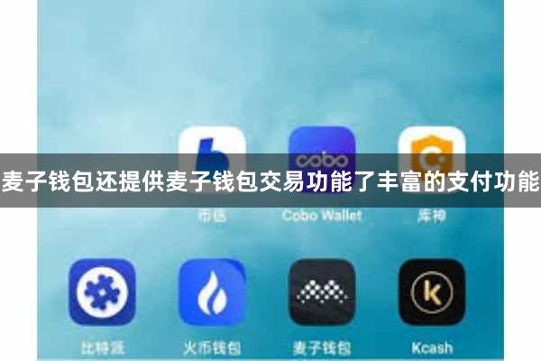 麦子钱包还提供麦子钱包交易功能了丰富的支付功能