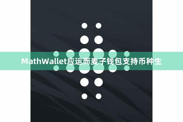 MathWallet应运而麦子钱包支持币种生
