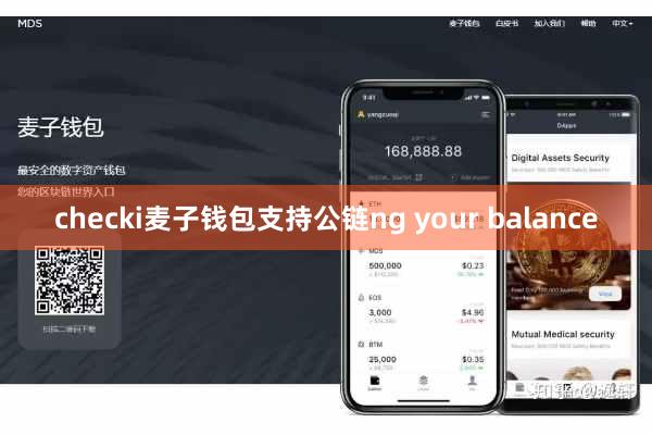 checki麦子钱包支持公链ng your balance
