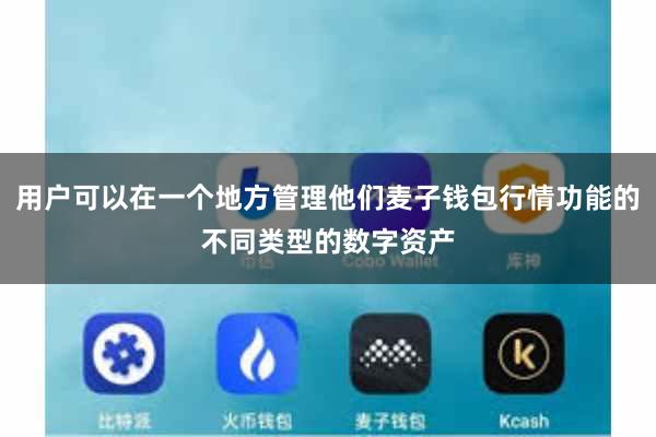 用户可以在一个地方管理他们麦子钱包行情功能的不同类型的数字资产