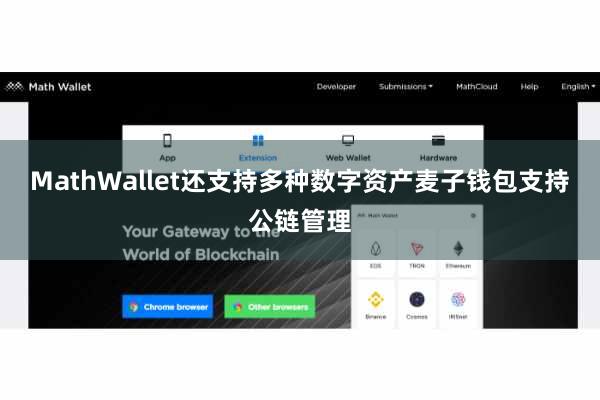 MathWallet还支持多种数字资产麦子钱包支持公链管理