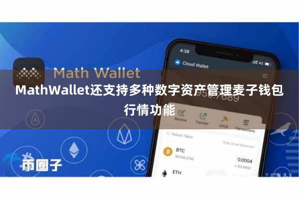 MathWallet还支持多种数字资产管理麦子钱包行情功能